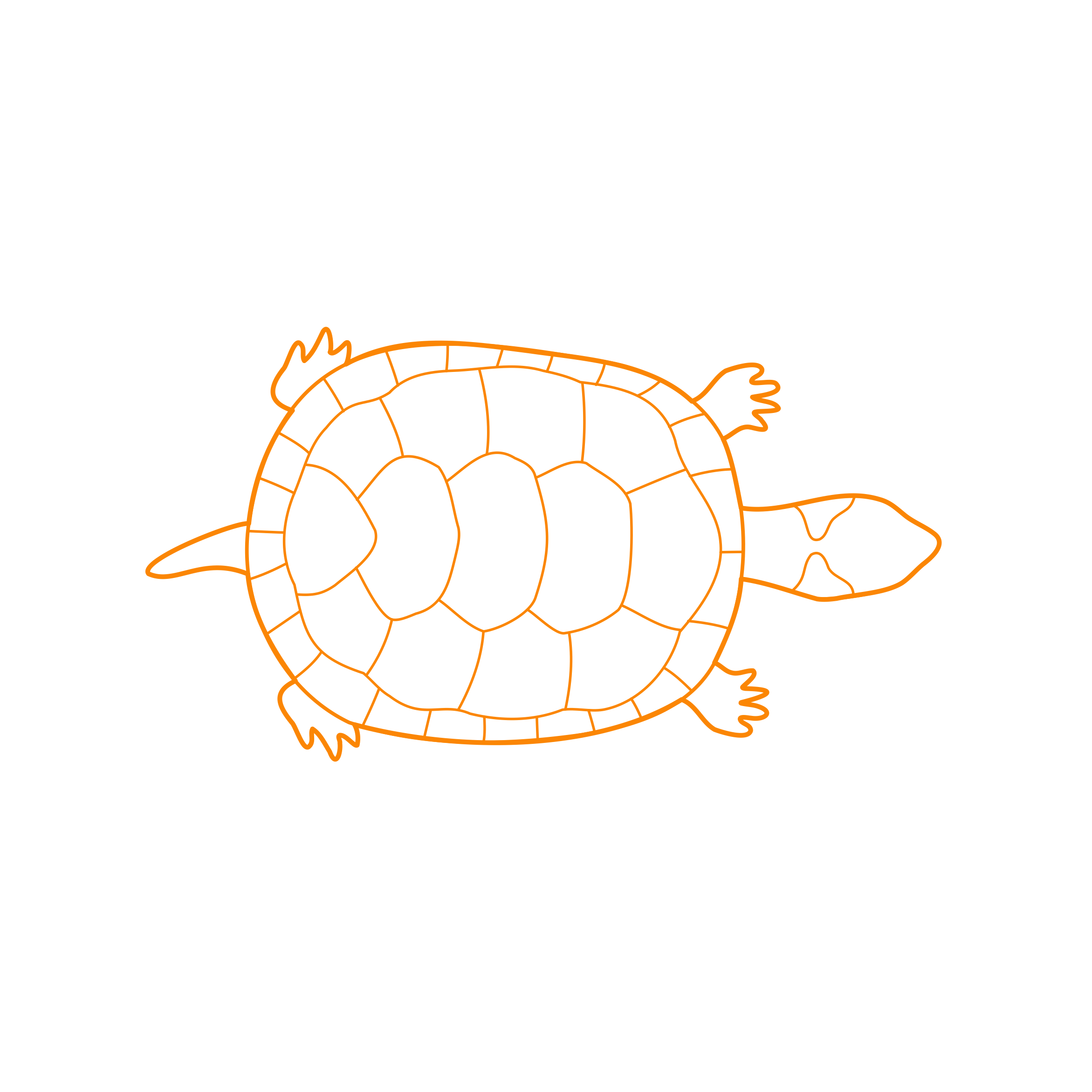 Animals Turtles Bog Turtle Icon Svg Vector Free Vectors